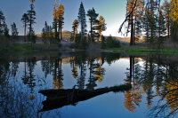 pond reflections Hwy 88